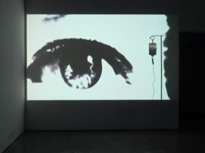 Memento Mori, Installation Single channel video, fabricated steel.
Projection 2.10 x 3.65 m, 2016 by Brittany Brush
