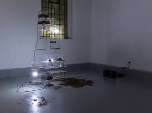 Sol Jee Ahn GlogauAir Installation Contemporary Art Berlin Artist in Resident
