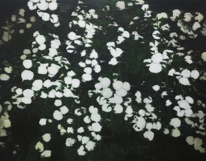 Flower night
180 x 230 cm, acrylic on canvas, 2014
