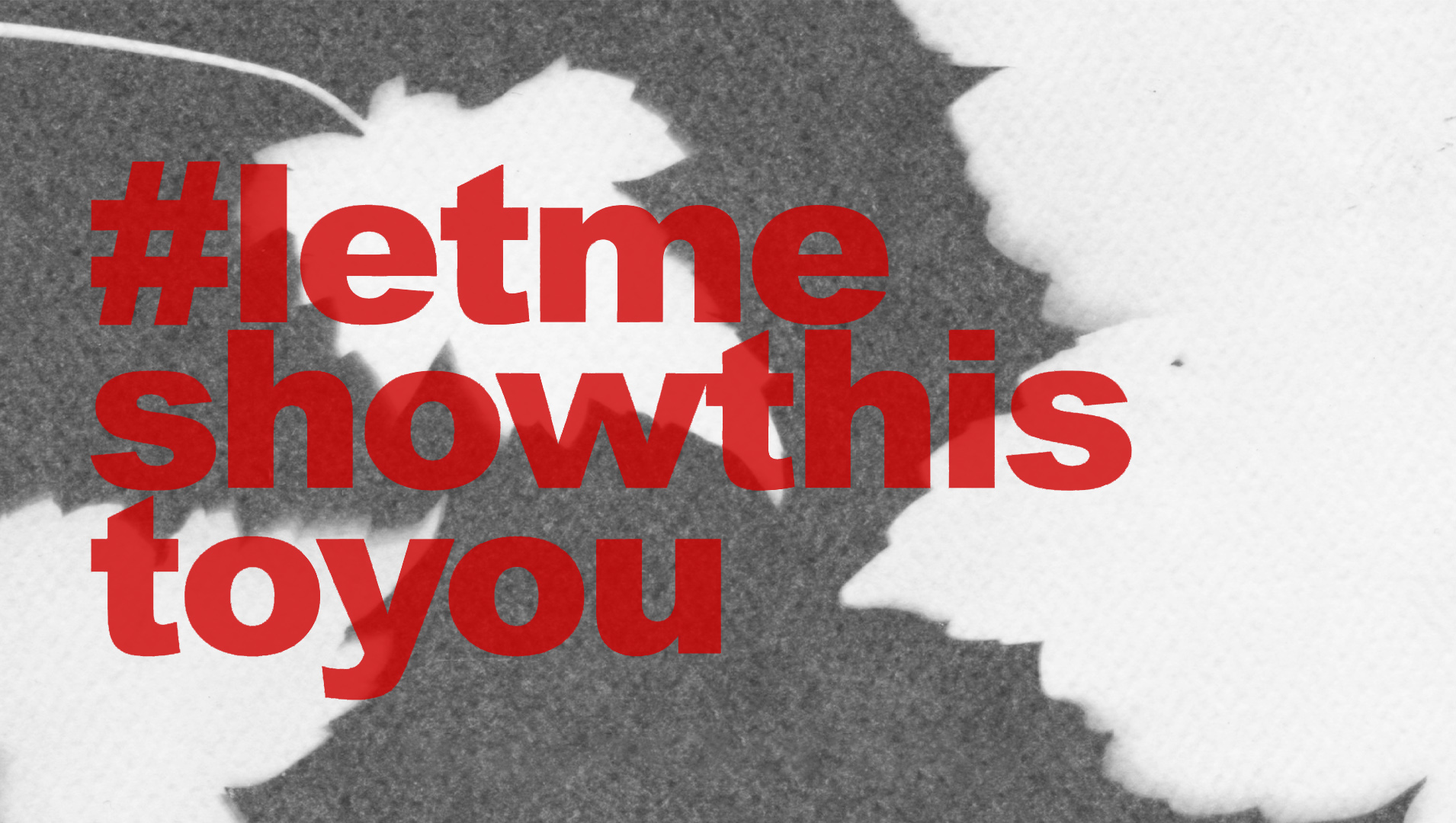 2020_Activity_Banner_letmeshowthistoyou-2 2020_Activity_Banner_letmeshowthistoyou-2