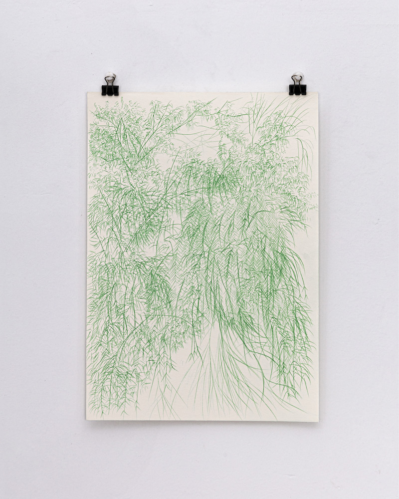 2023_ Mei Mei_artist profile_01 (to be featured)hanging study-write with willow tree