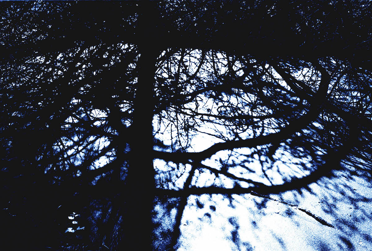 2023_Eabha-Cleary_artist-profile_reflections_cyanotype