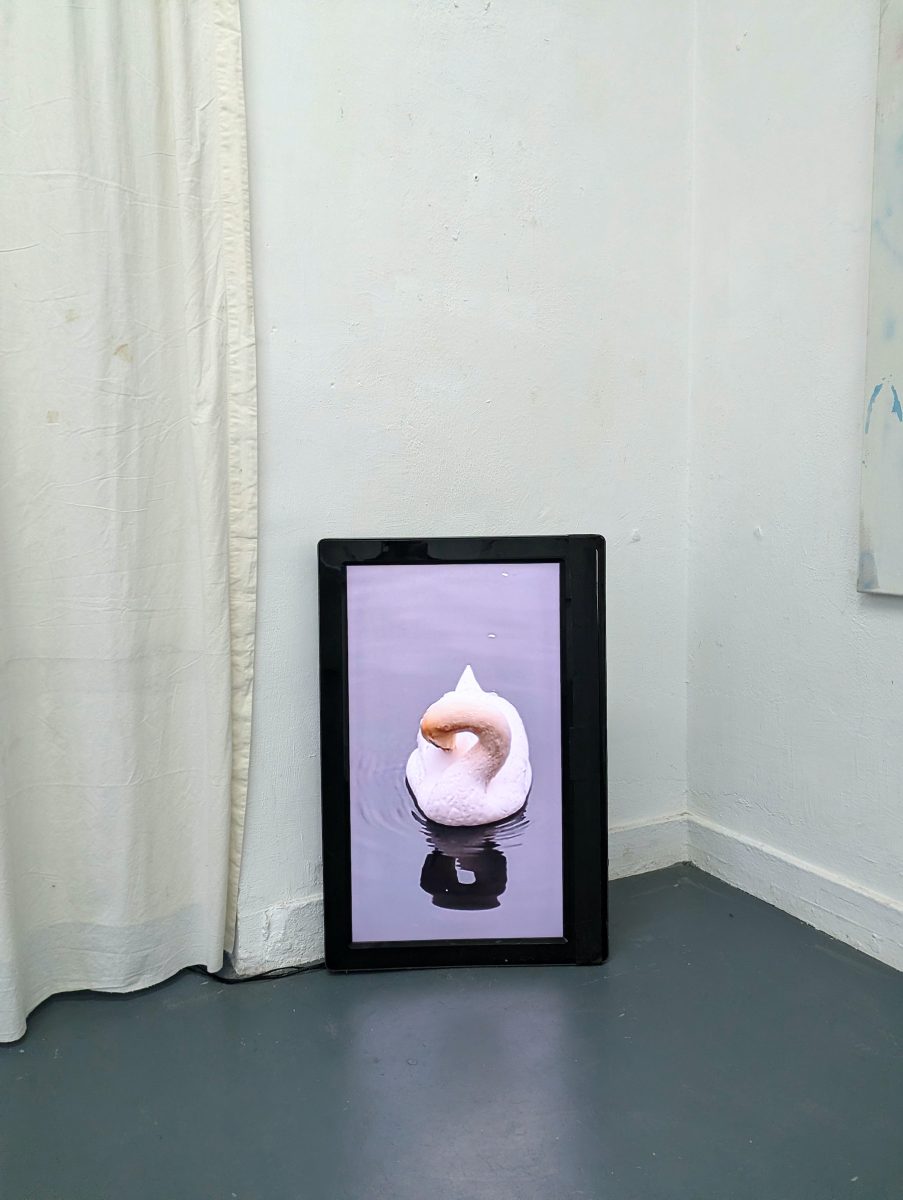 Q1_2026_CarlosPesudo_07