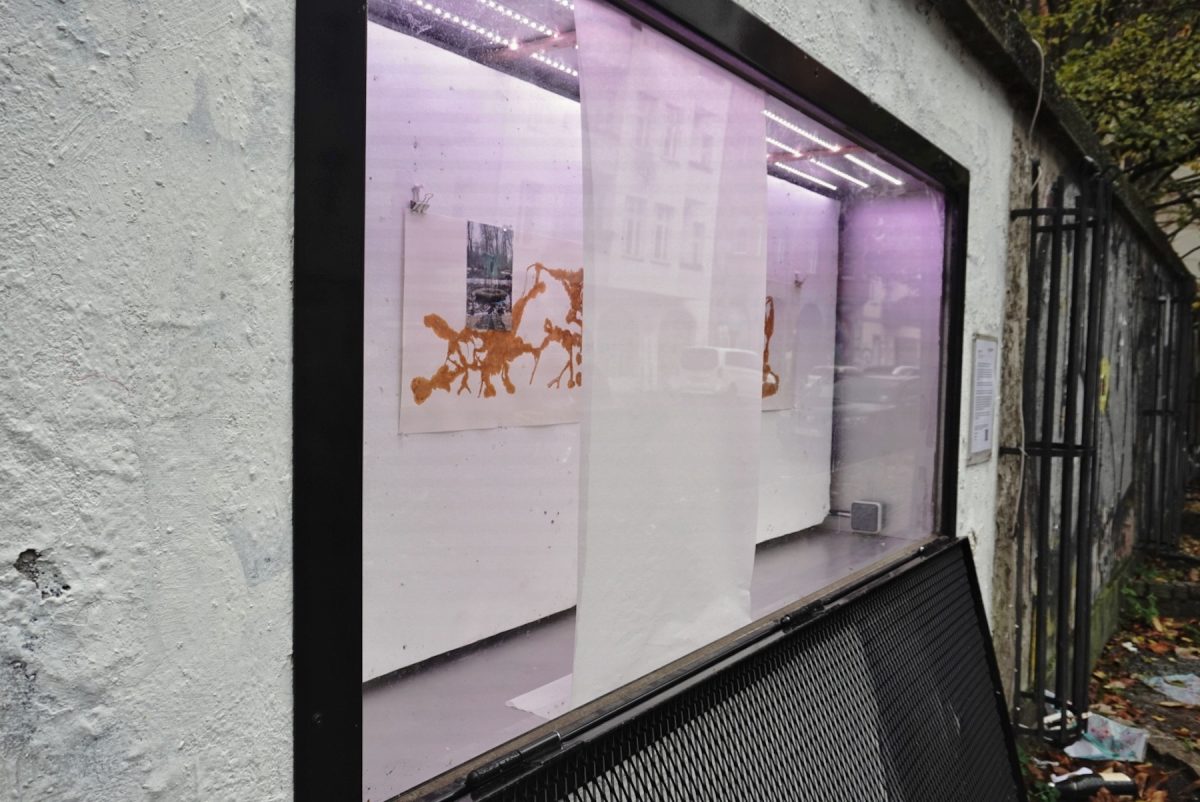 2025_Q4_Showcase_Inaki_04