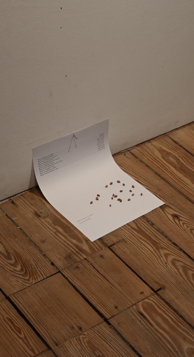 2026_Q1_CiaraHandschuch_04