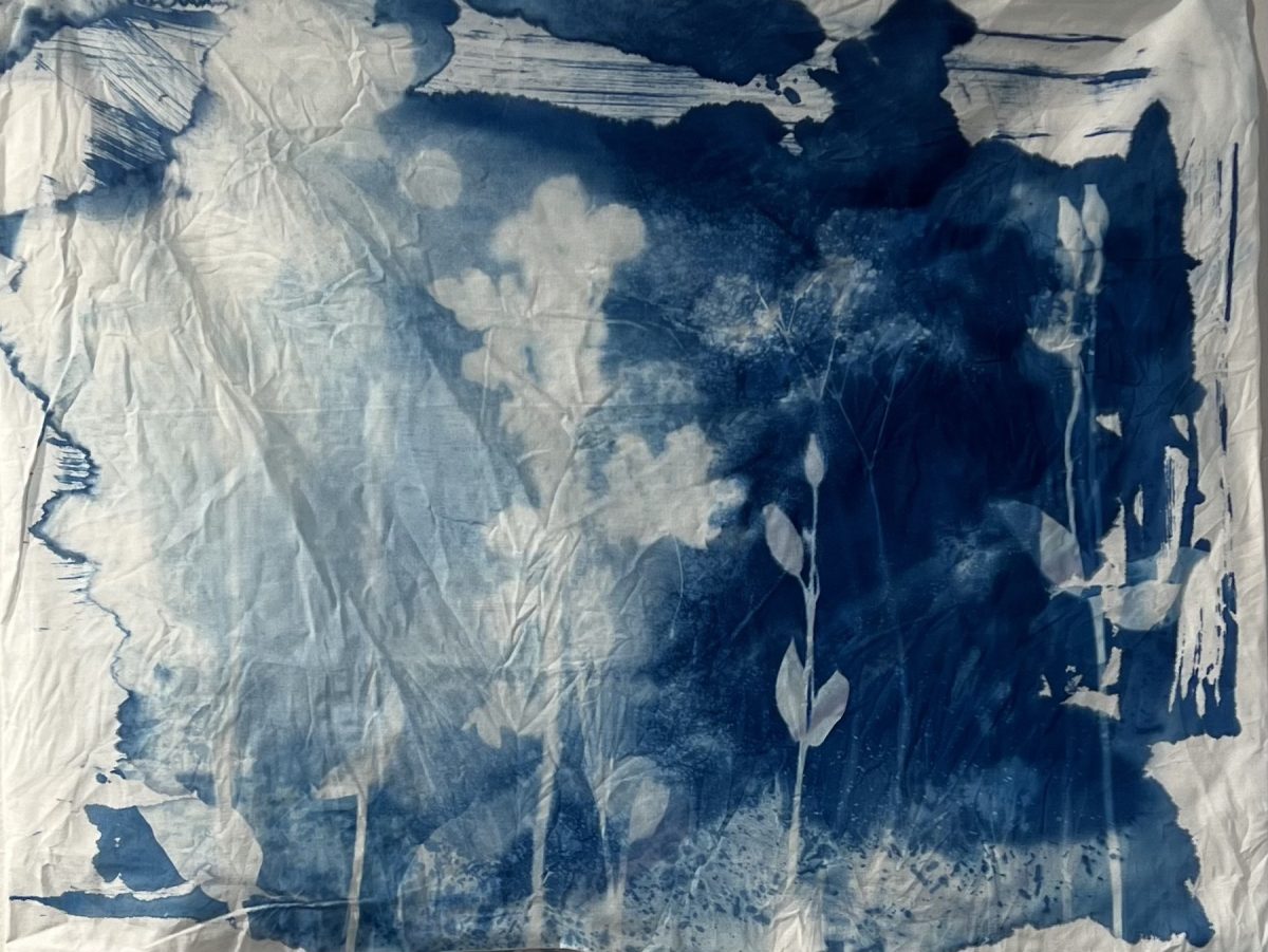 Q1_2025_HooriaSanei_02