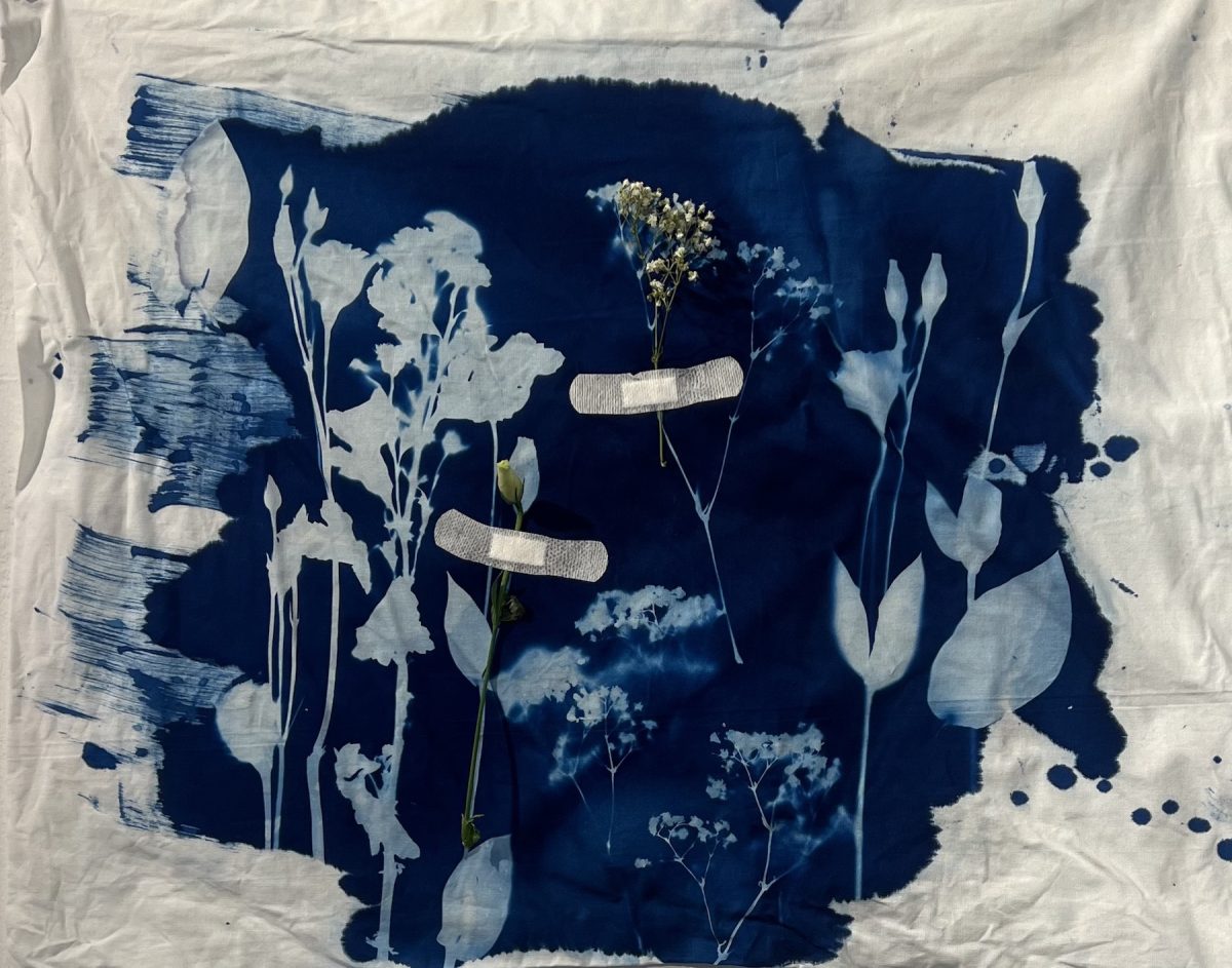 Q1_2025_HooriaSanei_03