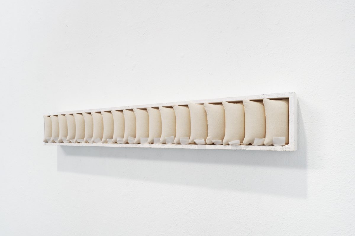 Q1_2026_AdelaAnguloPortugal_01