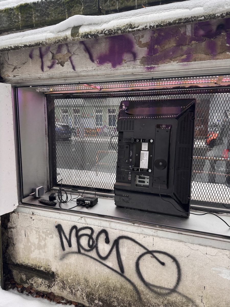 Q1_2026_Showcase_CarlosPesudo_01