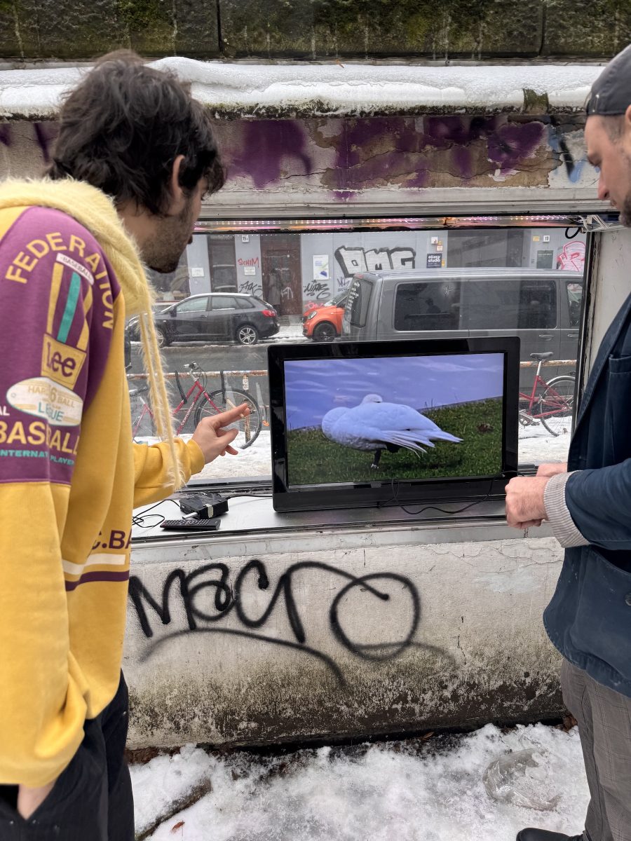 Q1_2026_Showcase_CarlosPesudo_04