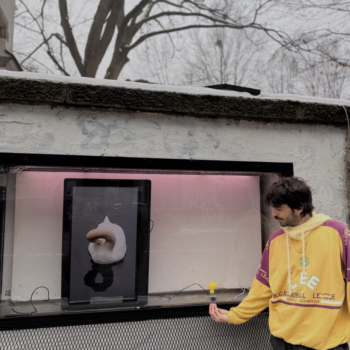 Q1_2026_Showcase_CarlosPesudo_08