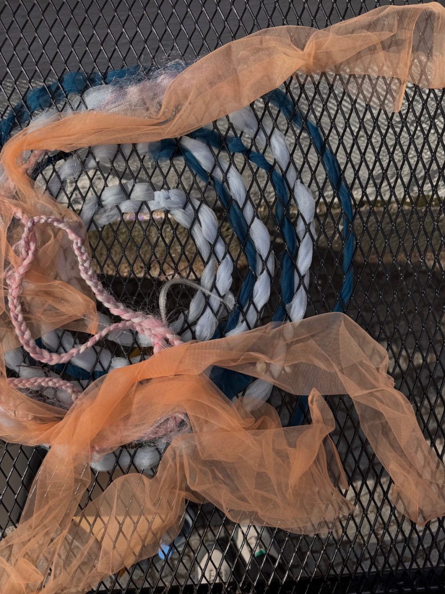 Q1_2026_Showcase_BrynMcConnell_05