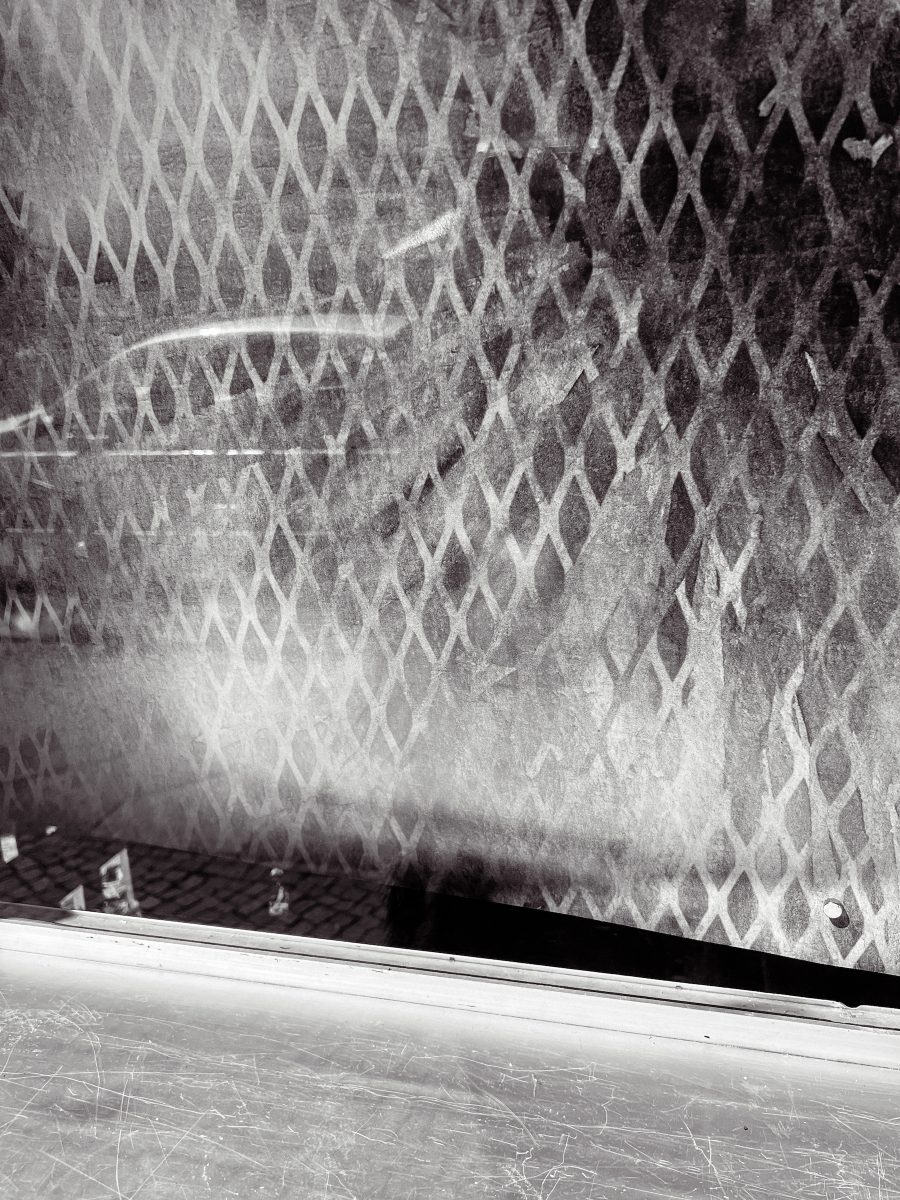 2026_Q2_Showcase_IlicZoe-10