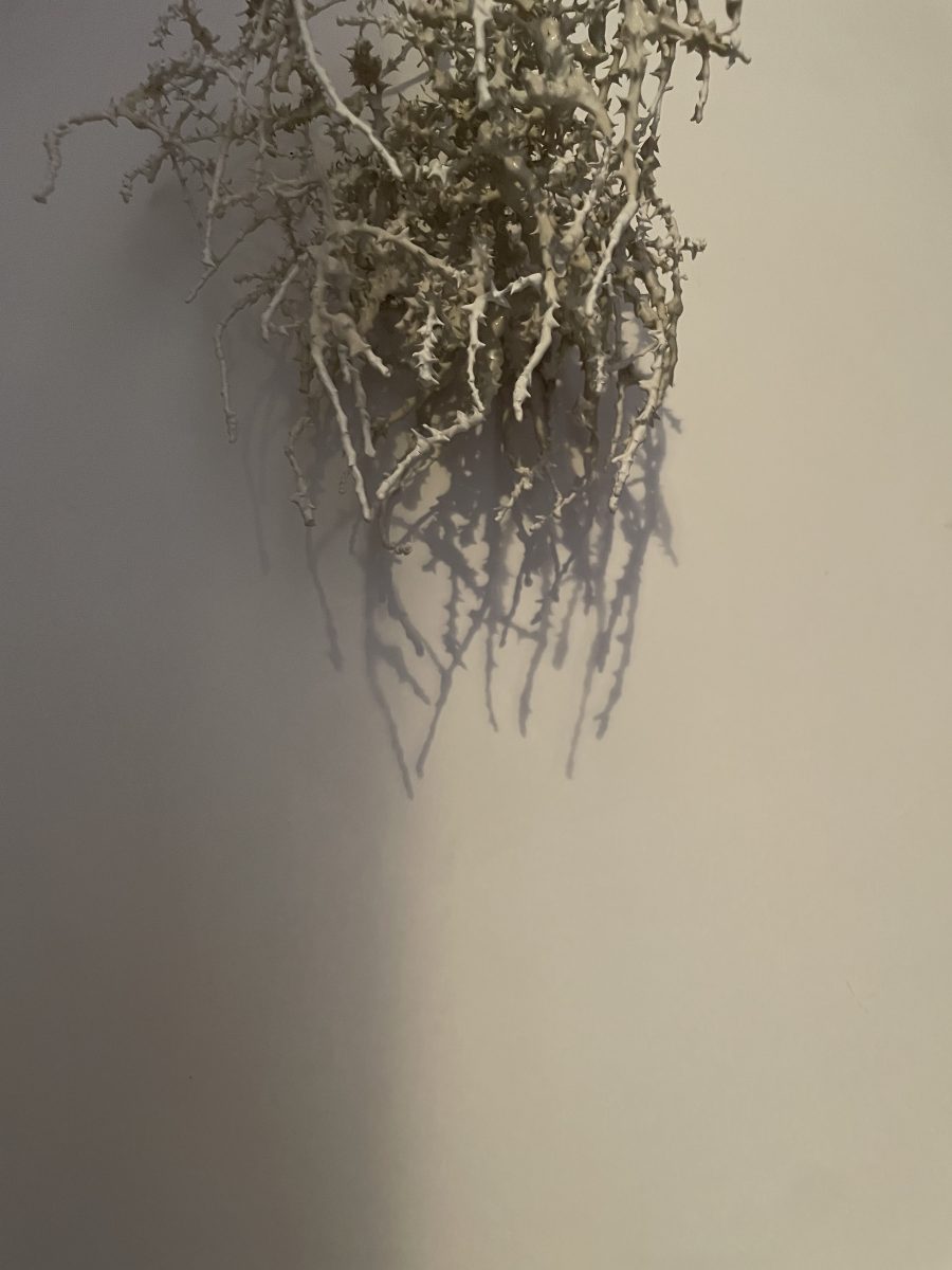 Q2_2026_CarlyOstler_05