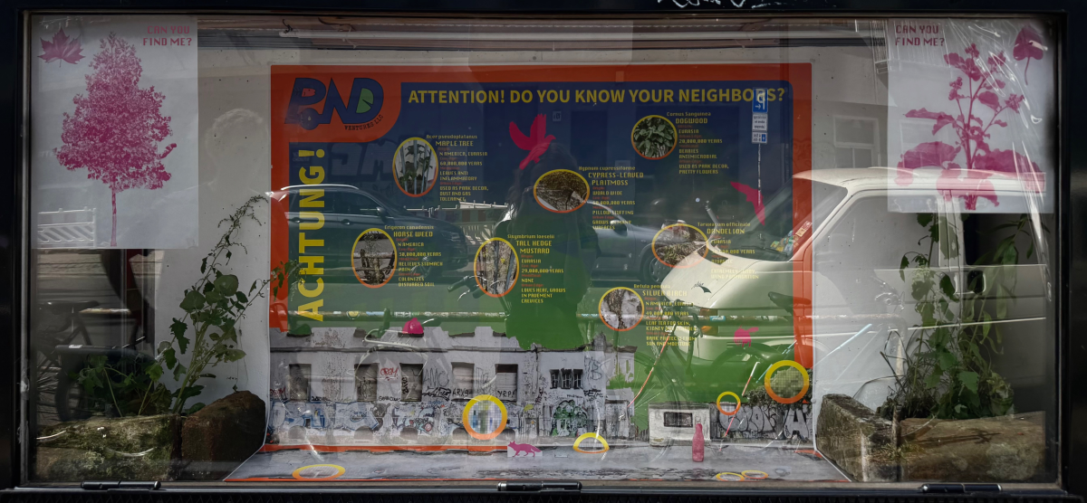 026_Q3_Showcase_LorelHill_02 (1)
