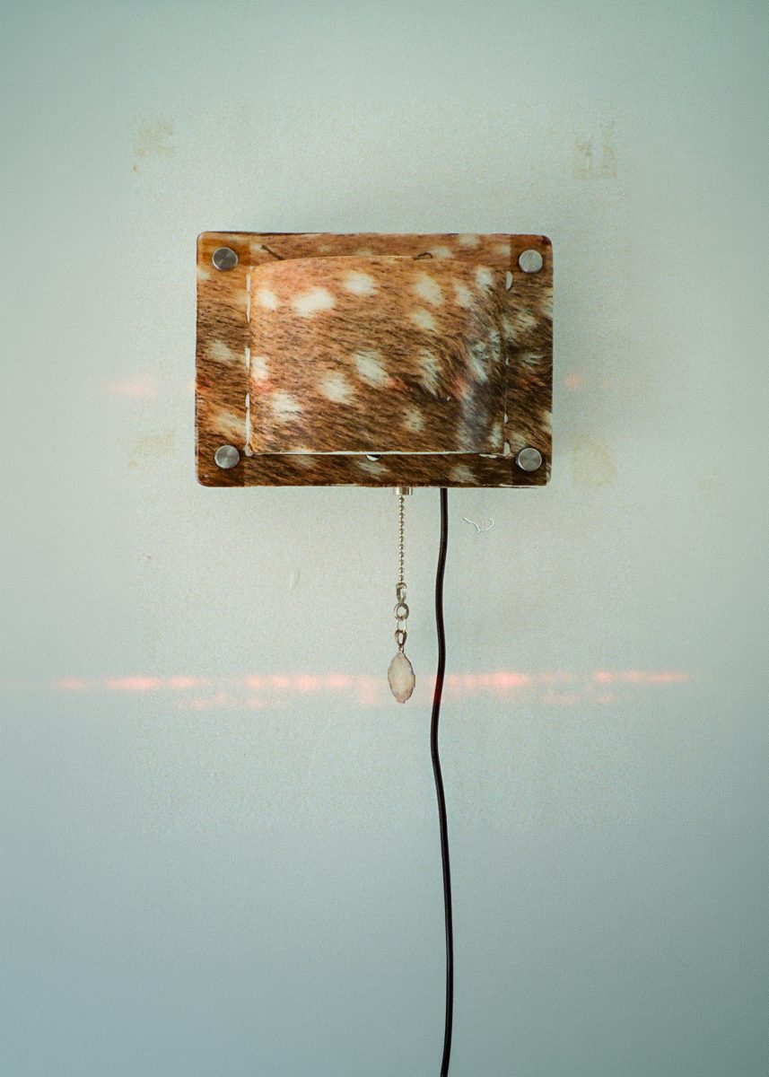 Nettere_fawnsconce