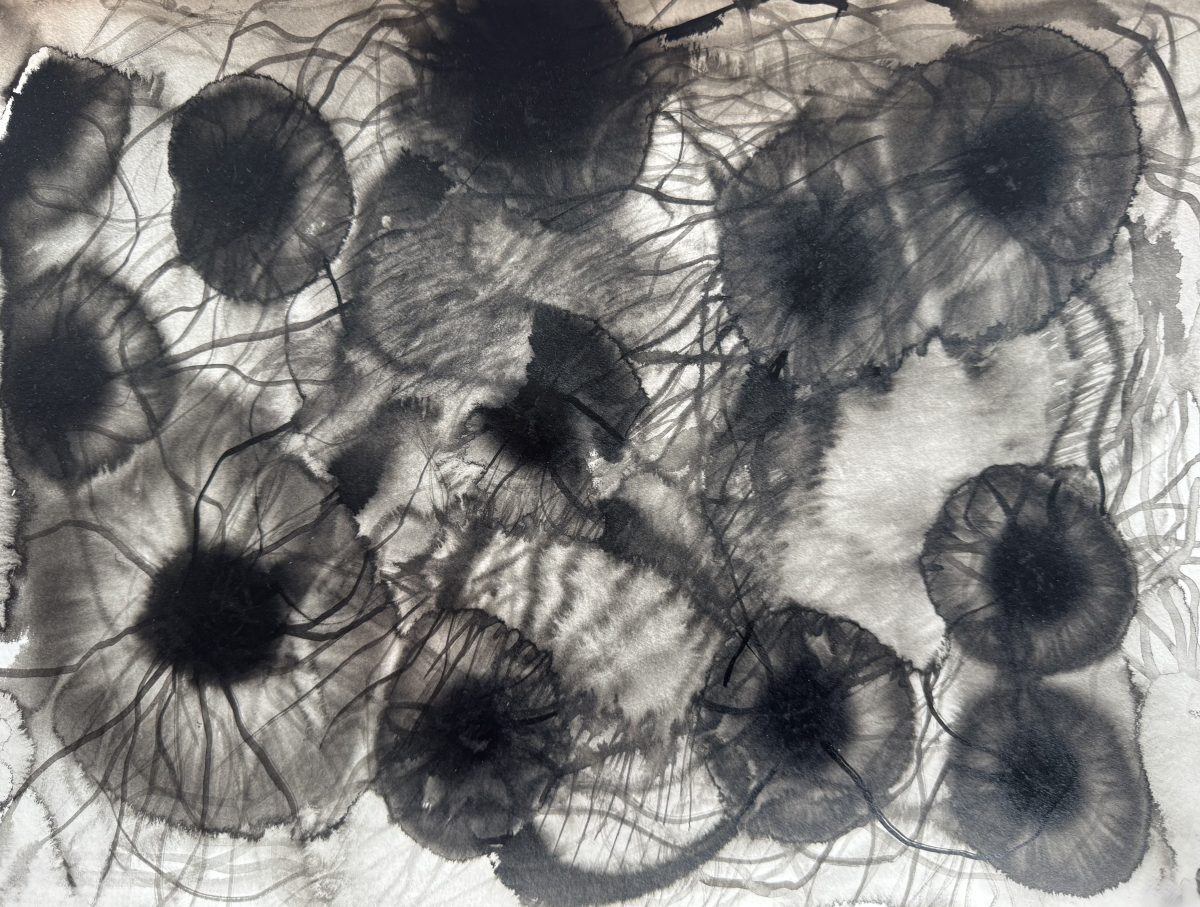 SERGIEL Anna Untitled II