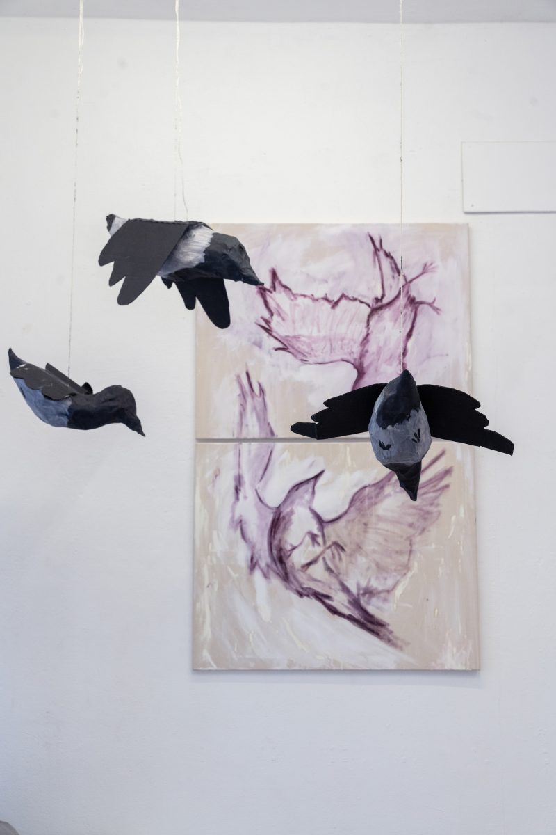 Studio 11_04