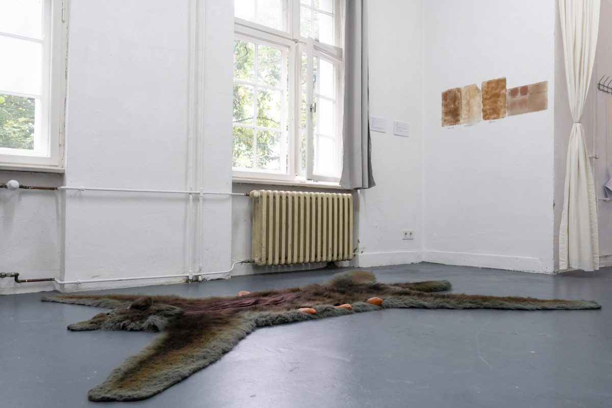 Studio 15_02