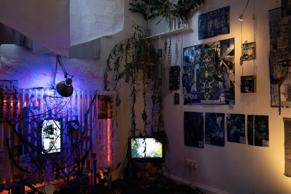 Studio 31_03