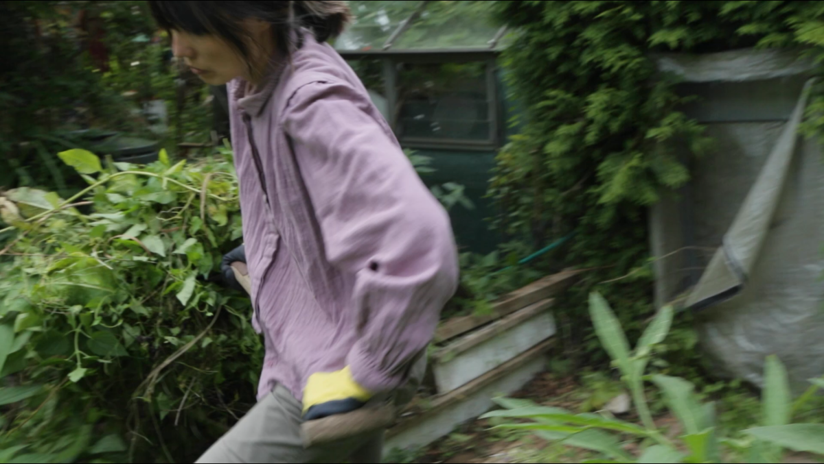 cover photo