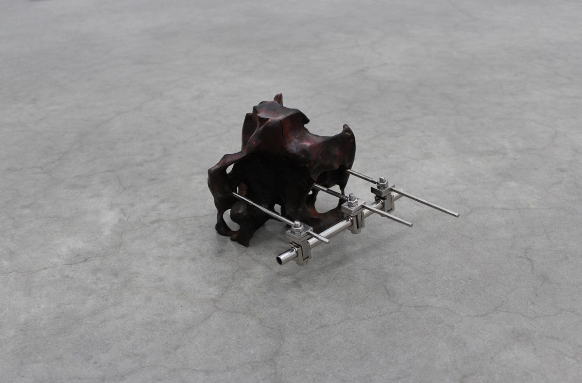 untitled (self-cancelling mutilation)_6.75x4x4in_carved burl, external fixators_Fharid LaTorre