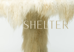 Even Cover Banner_Shelter (2)