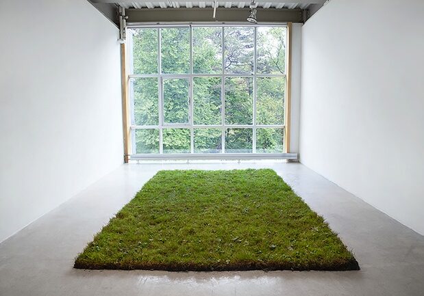 Clicking Heels
Installation, sod and carpet, 2014
