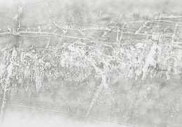 latentCover